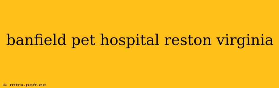 banfield pet hospital reston virginia