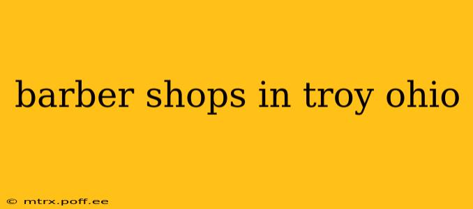 barber shops in troy ohio