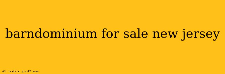 barndominium for sale new jersey