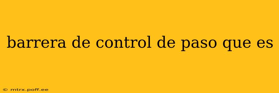barrera de control de paso que es