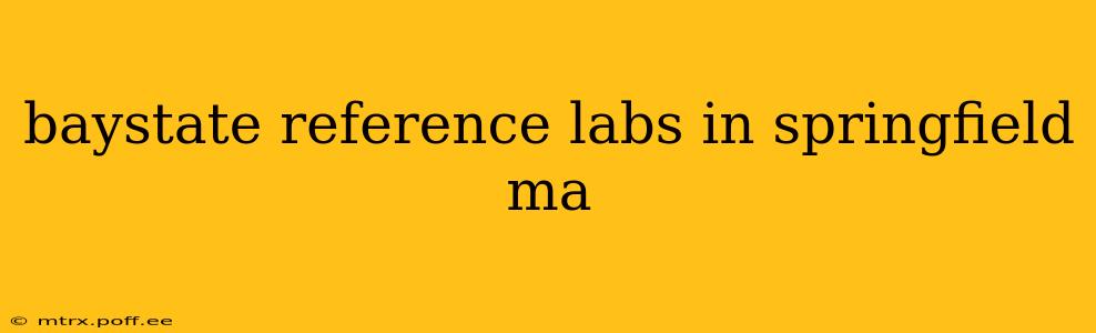 baystate reference labs in springfield ma