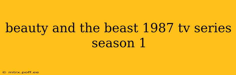 beauty and the beast 1987 tv series season 1