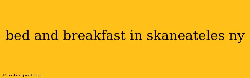 bed and breakfast in skaneateles ny