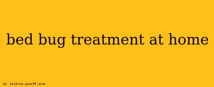 bed bug treatment at home