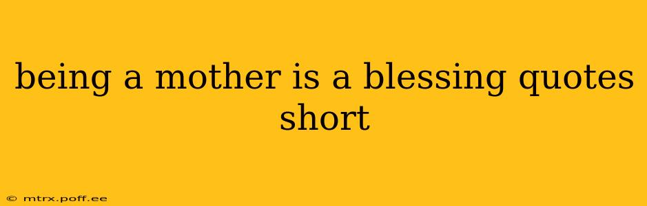 being a mother is a blessing quotes short