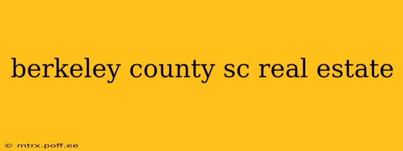 berkeley county sc real estate