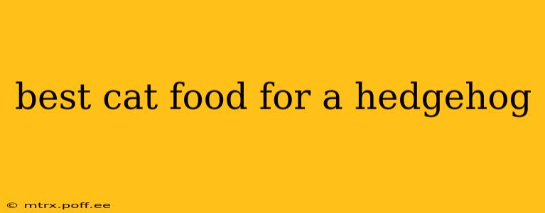 best cat food for a hedgehog