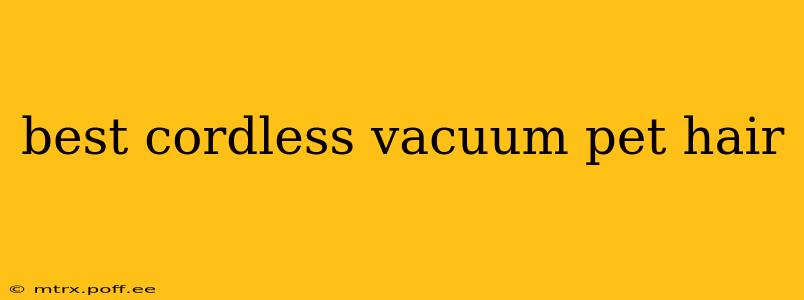 best cordless vacuum pet hair