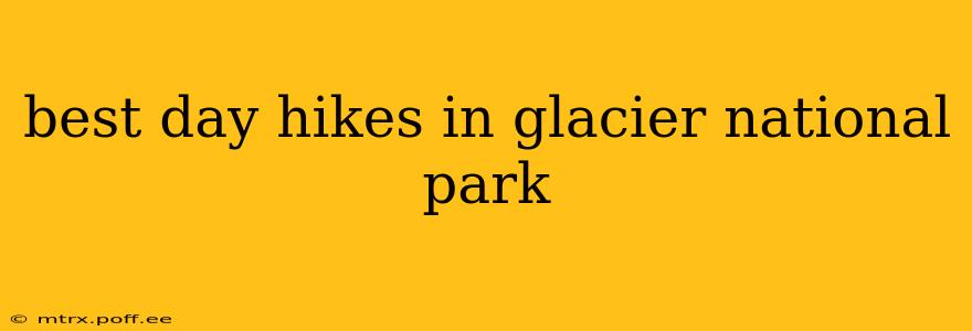 best day hikes in glacier national park