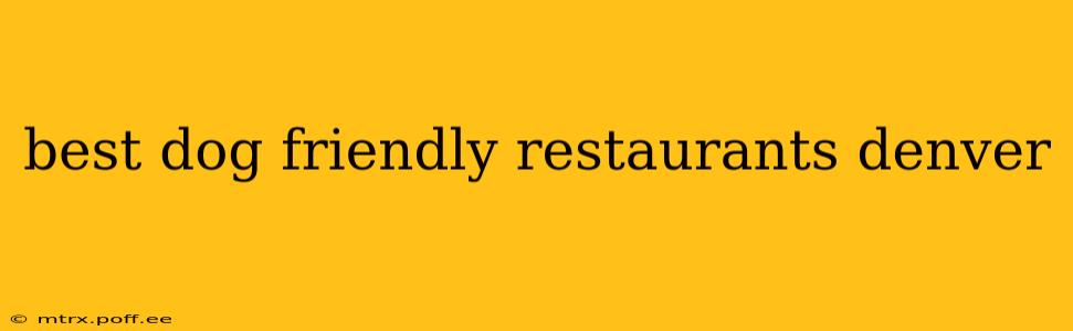 best dog friendly restaurants denver