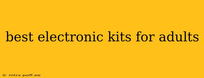 best electronic kits for adults