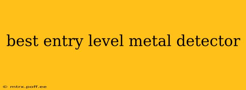 best entry level metal detector