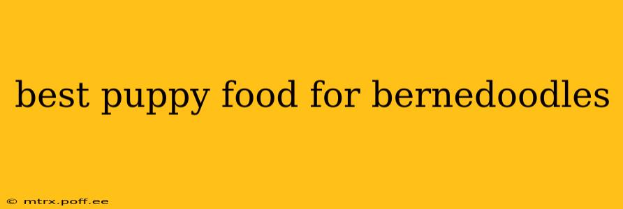 best puppy food for bernedoodles