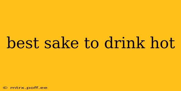 best sake to drink hot