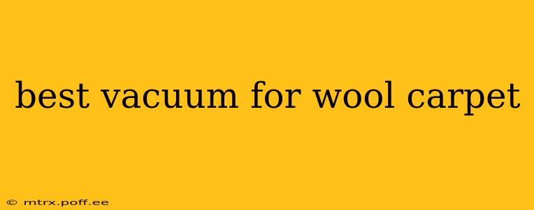 best vacuum for wool carpet
