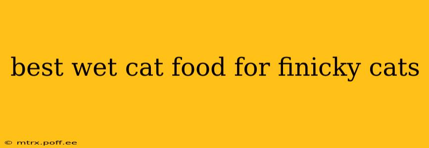 best wet cat food for finicky cats