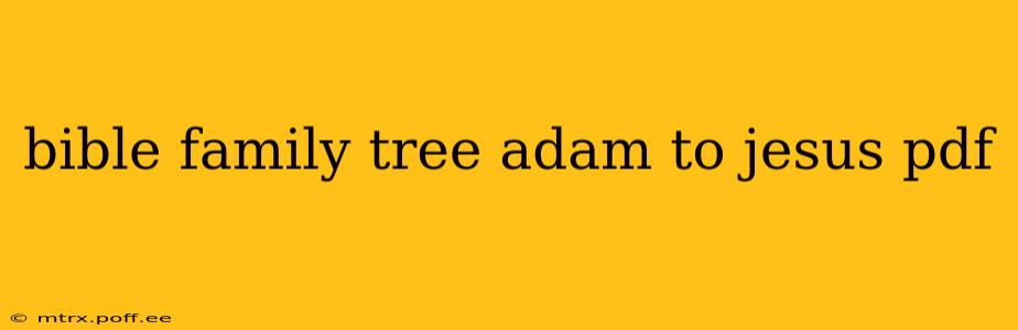 bible family tree adam to jesus pdf