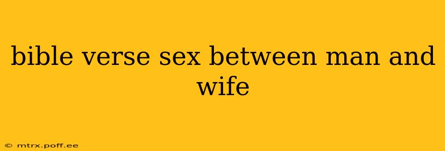 bible verse sex between man and wife