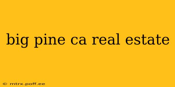 big pine ca real estate