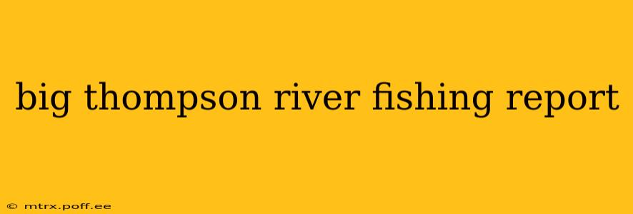big thompson river fishing report