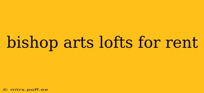 bishop arts lofts for rent