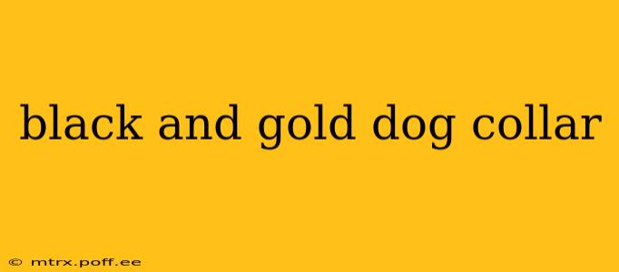 black and gold dog collar