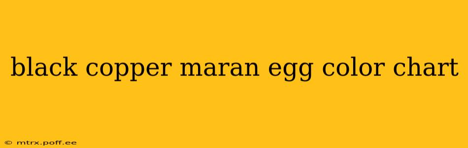 black copper maran egg color chart