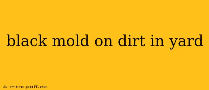 black mold on dirt in yard