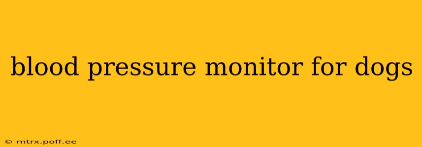 blood pressure monitor for dogs