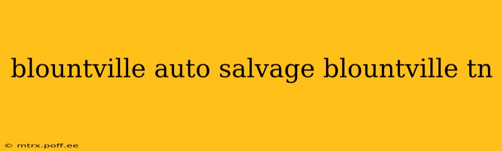 blountville auto salvage blountville tn