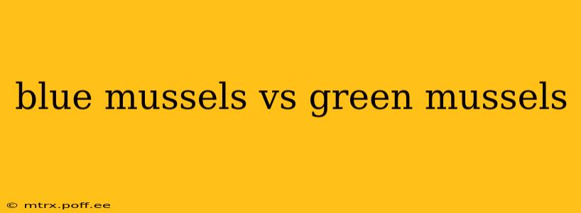 blue mussels vs green mussels