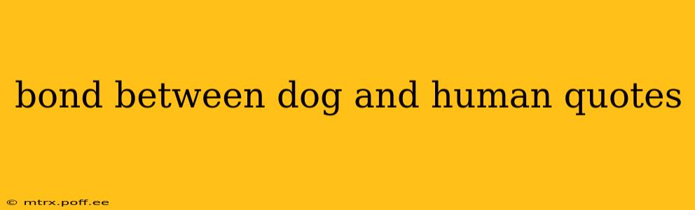 bond between dog and human quotes