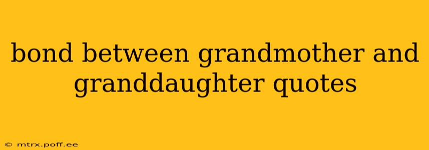 bond between grandmother and granddaughter quotes