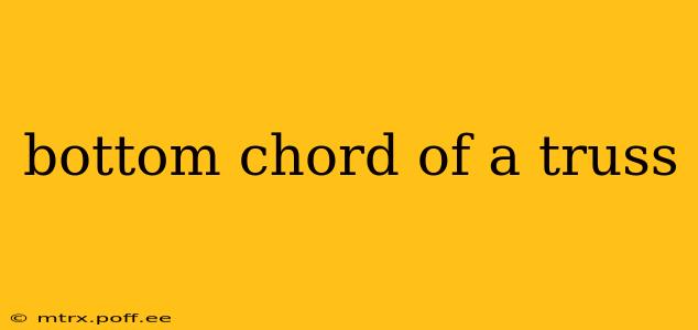 bottom chord of a truss