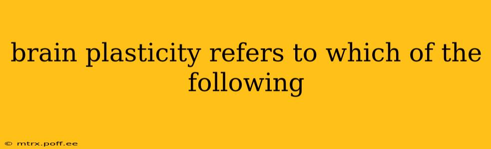 brain plasticity refers to which of the following