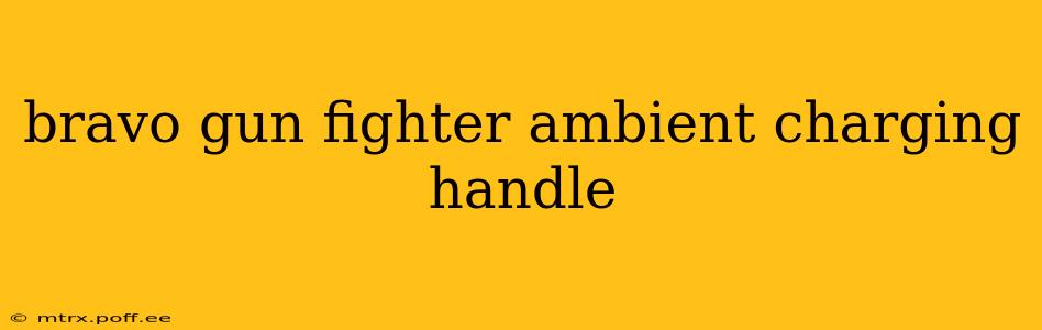 bravo gun fighter ambient charging handle