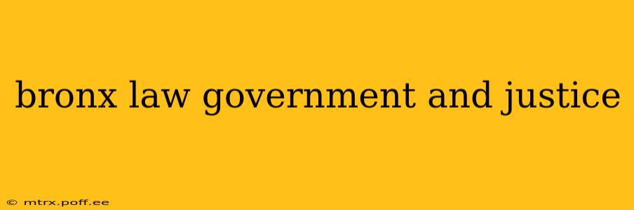 bronx law government and justice