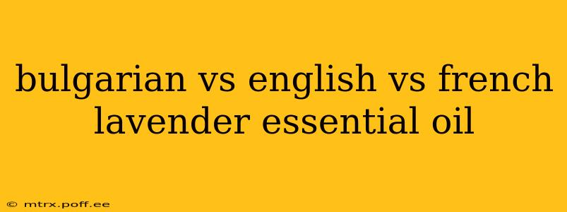 bulgarian vs english vs french lavender essential oil