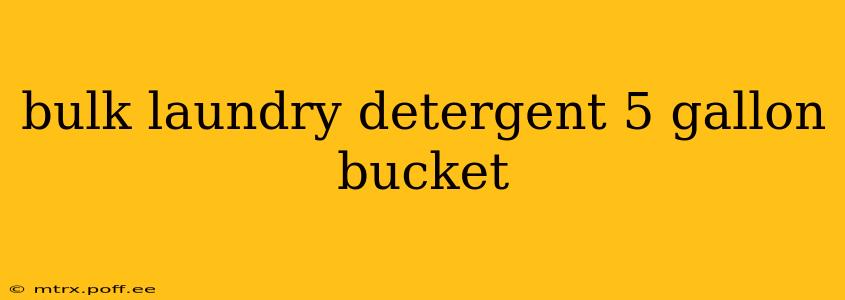 bulk laundry detergent 5 gallon bucket