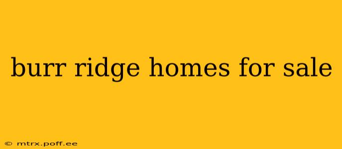 burr ridge homes for sale