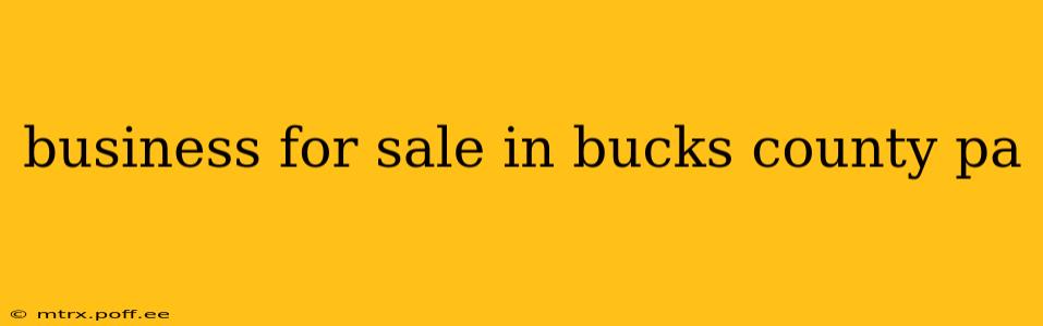 business for sale in bucks county pa