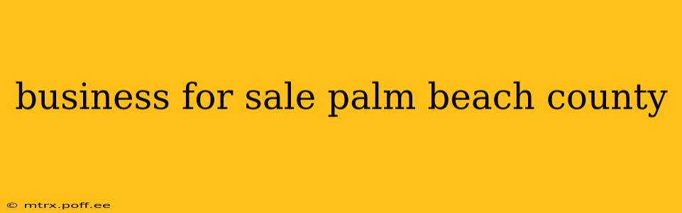 business for sale palm beach county