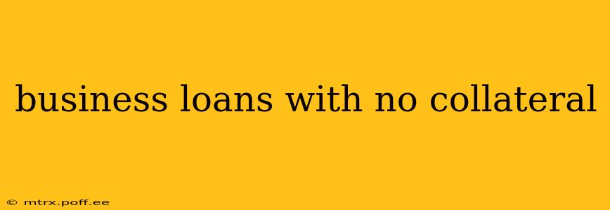business loans with no collateral