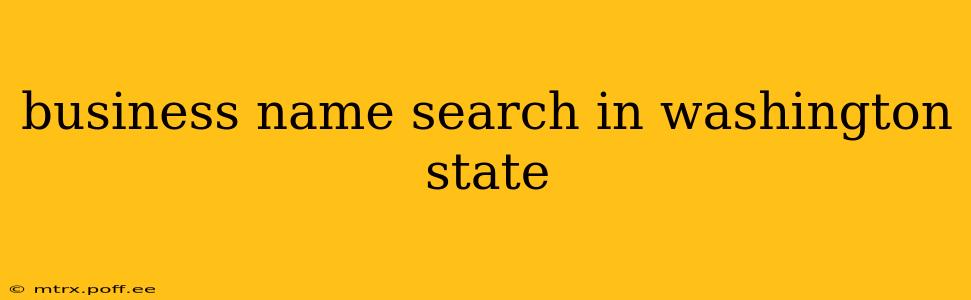 business name search in washington state