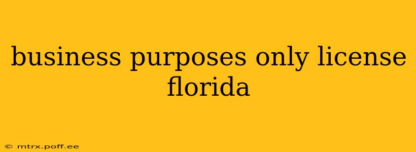 business purposes only license florida