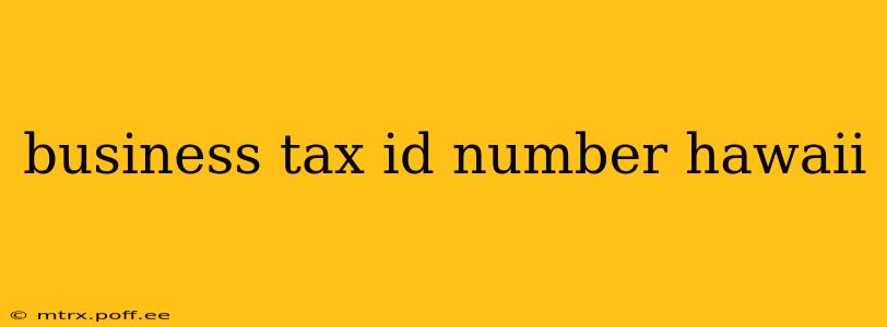 business tax id number hawaii