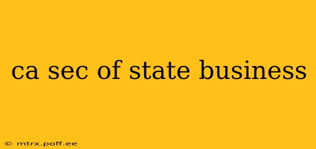 ca sec of state business