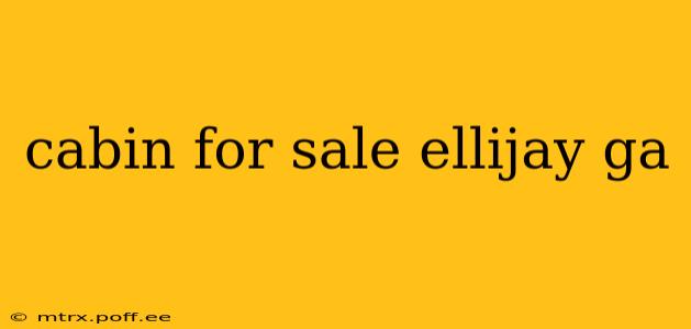 cabin for sale ellijay ga