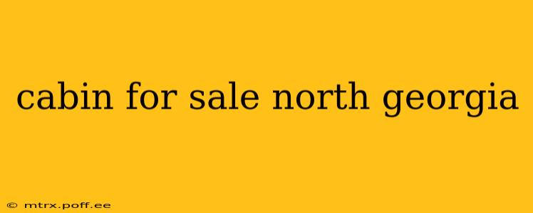 cabin for sale north georgia