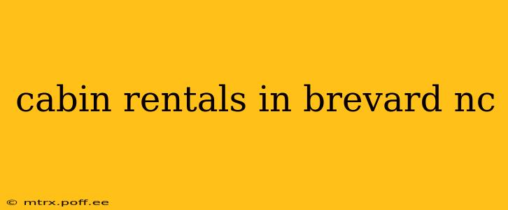 cabin rentals in brevard nc